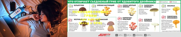 MDMA Premium VHQ Новозыбков
