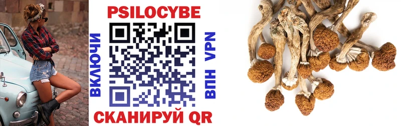Псилоцибиновые грибы GOLDEN TEACHER Приволжский